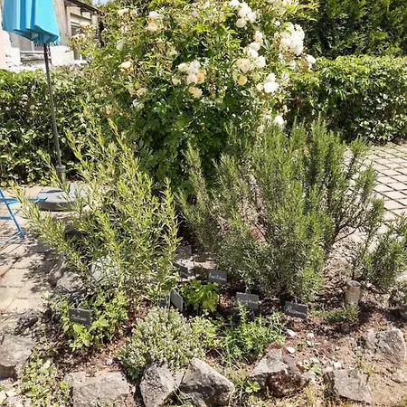 Apartamento Ferienapartment Ida *