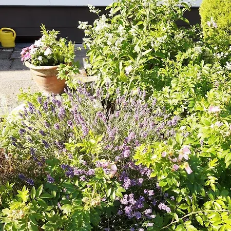 Apartamento Privatapartment Ida