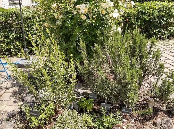 아파트 Privatapartment Ida *