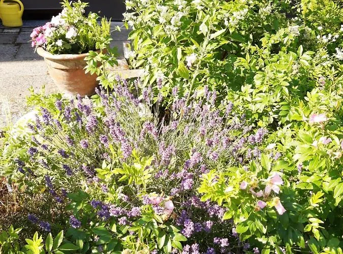 아파트 Privatapartment Ida